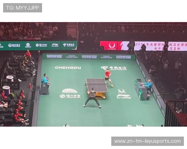 Chinese Taipei在2024年乒乓世界杯赛场上的精彩瞬间，2024世界乒乓球锦标赛